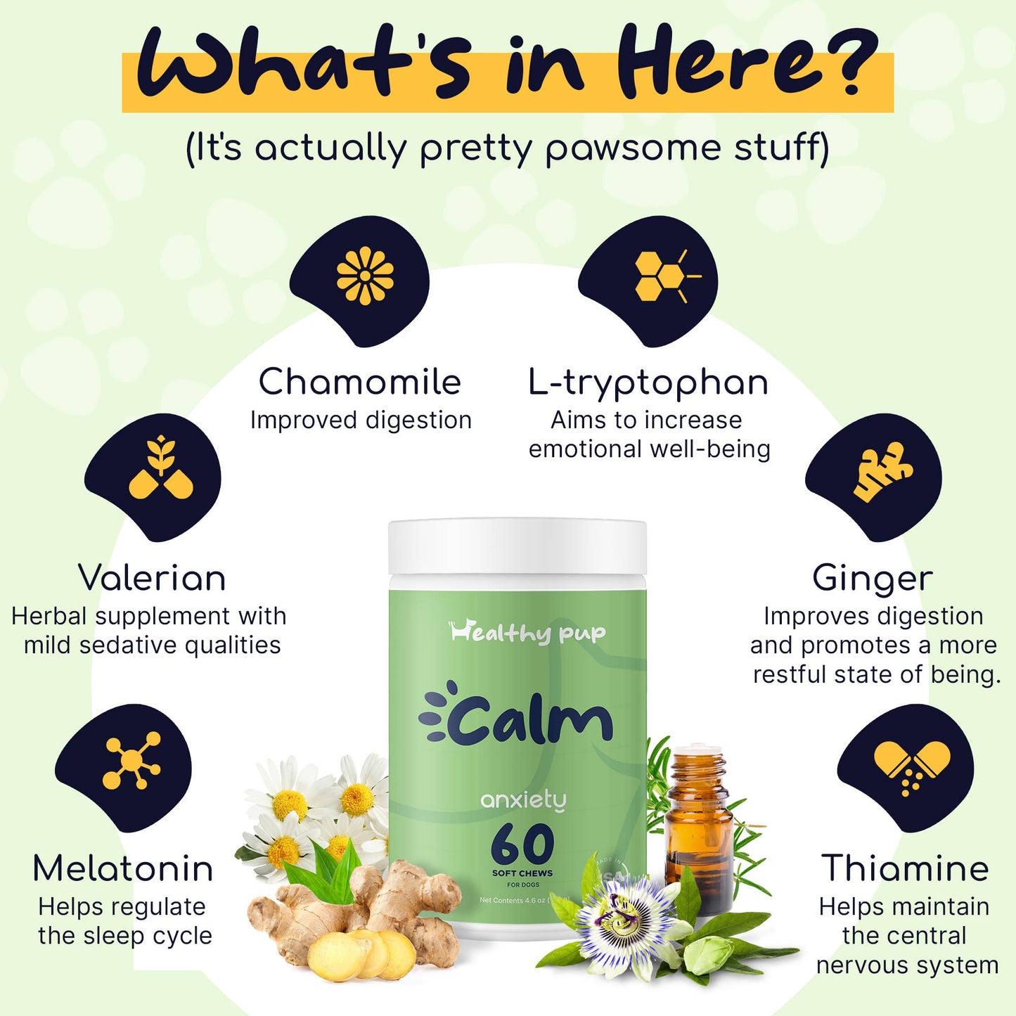 Healthy Pup Calm, Anxiety & Behavior Supplement for Dogs