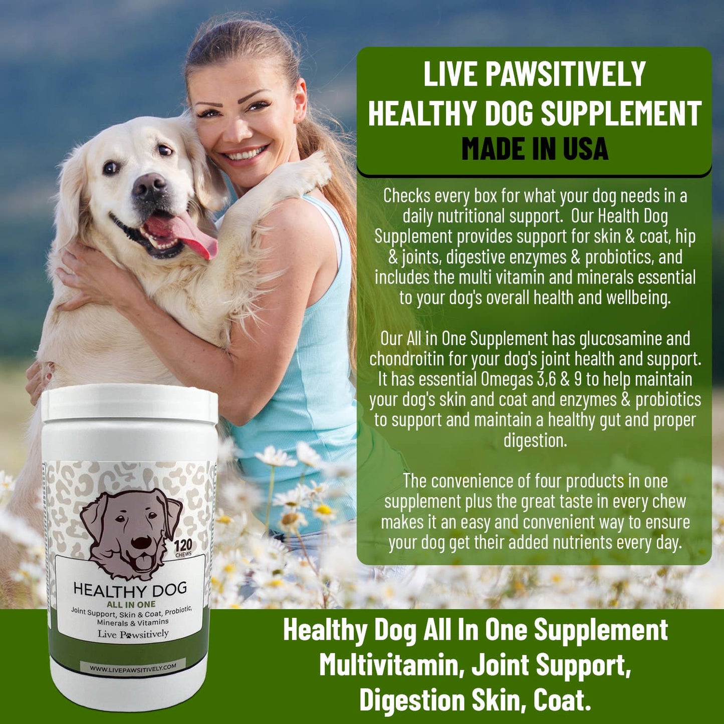 Healthy Dog All in one Supplement dog chew, made in USA: 60 soft chews