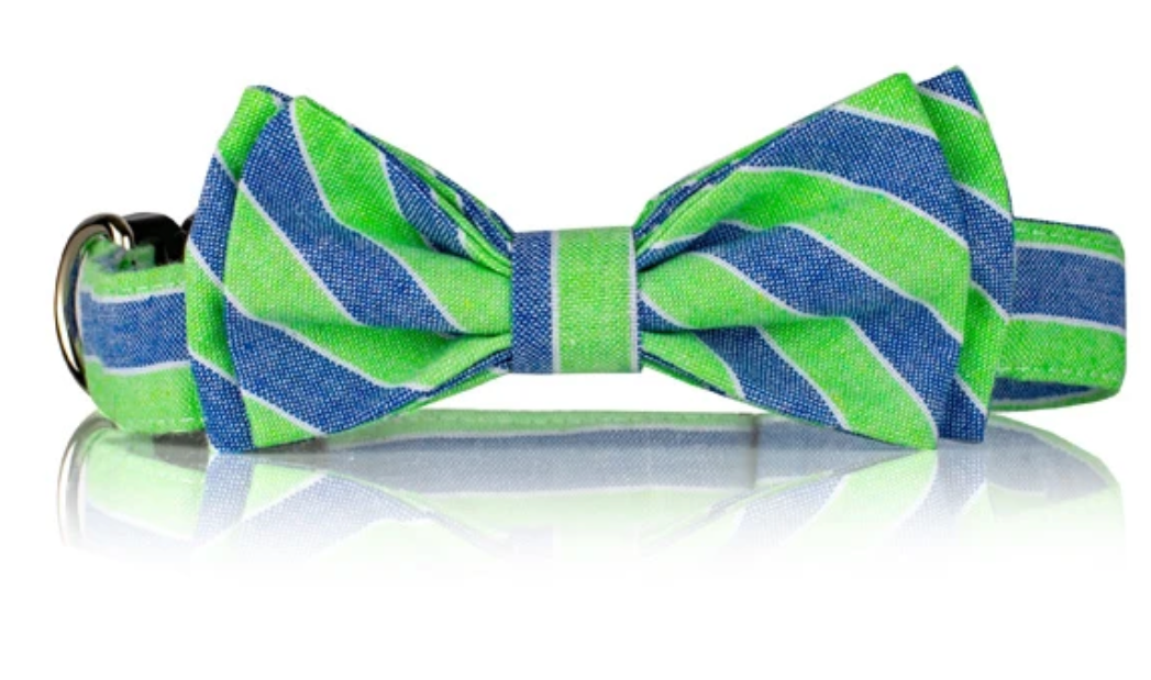Bully bow green stripped collar