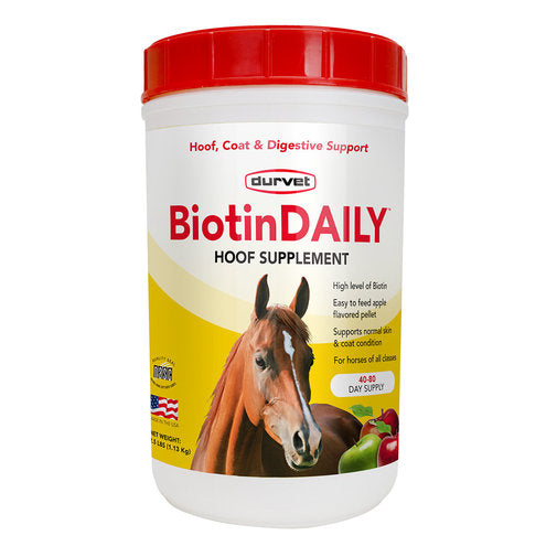 BiotinDAILY  supplement 2.5lbs
