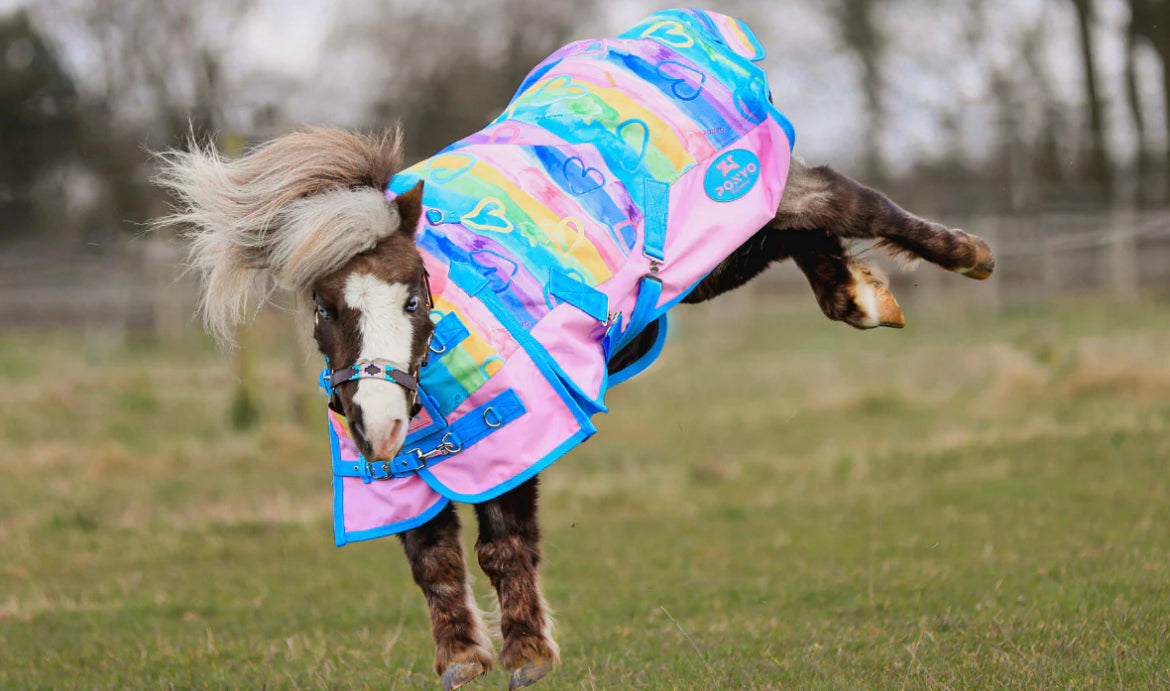 Rainbow hearts turnout blanket