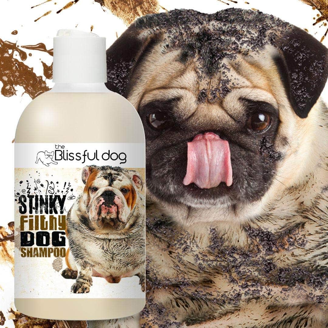 Stinky Filthy Dog Shampoo for Nasty Dogs