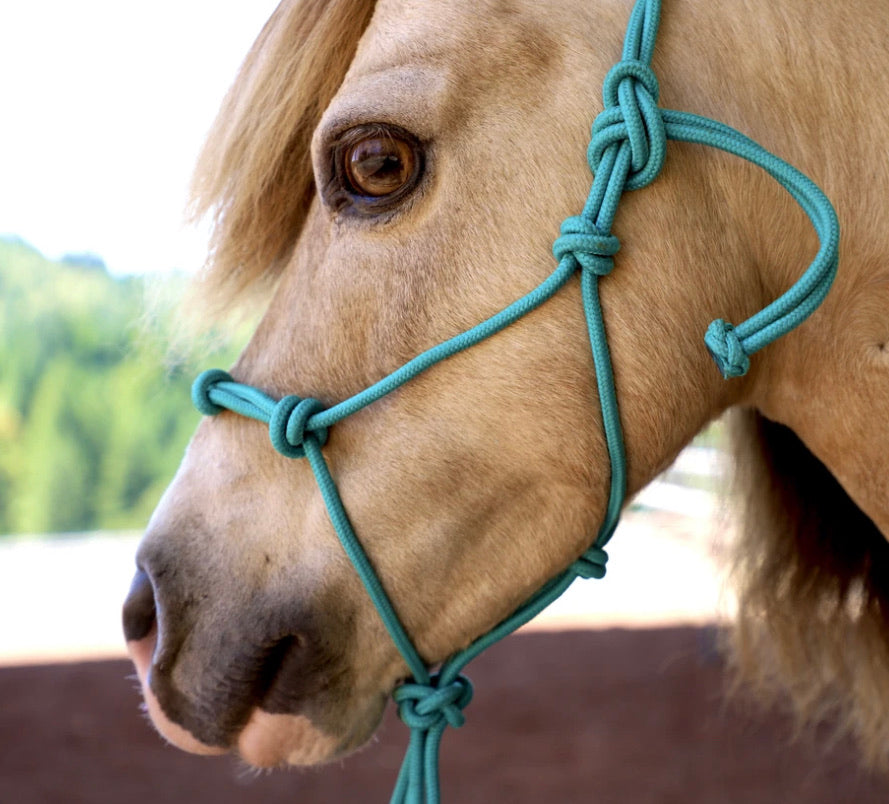 mini/pony soft 4-knot rope halter & 8' lead combo