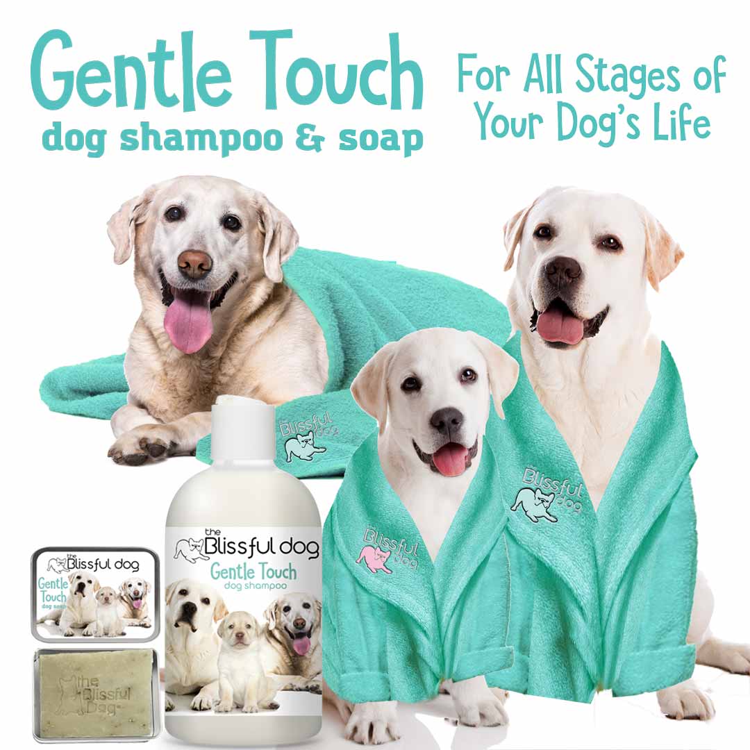 Gentle touch dog shampoo