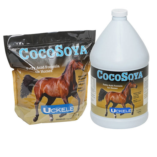 CocoSoya