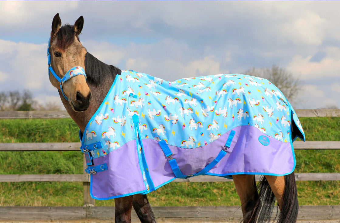 Blue unicorn blanket