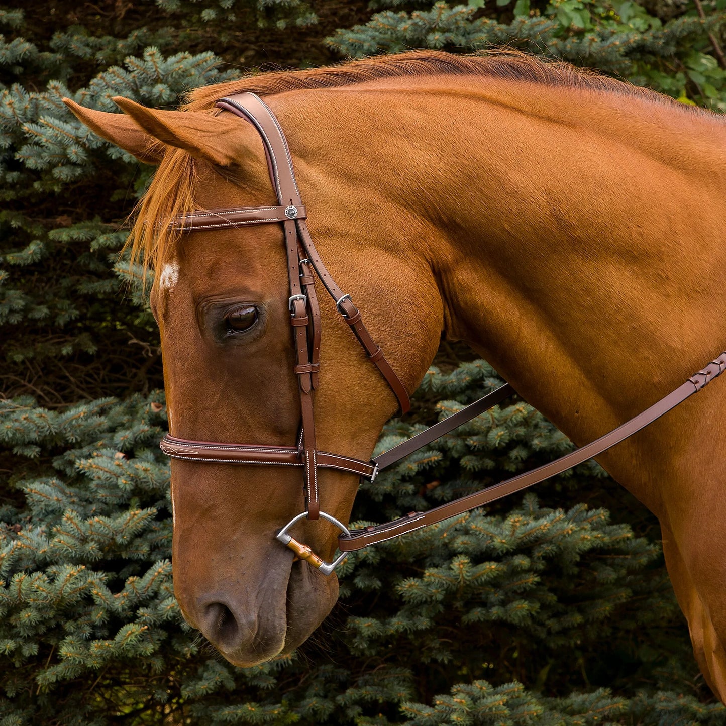 HENRI DE RIVEL PRO MONO CROWN FANCY STITCHED PADDED BRIDLE